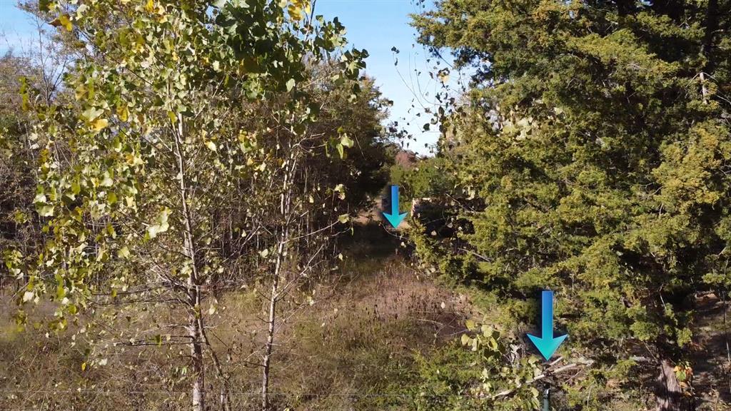 LAKE LIFE ESTATES - Land