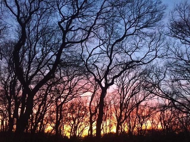 Lakeside On Preston Ph 5a - Residential