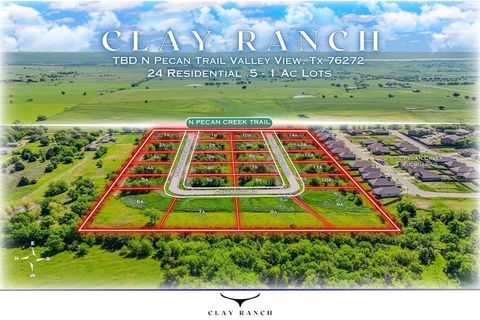 301 N Creekside Road Valley View TX 76272