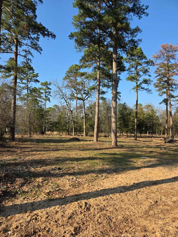 Kings Country - Land