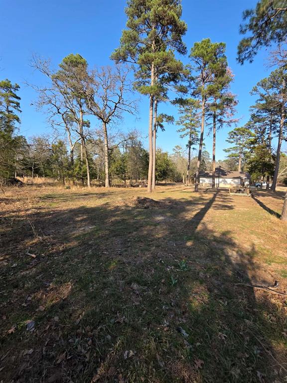 Kings Country - Land