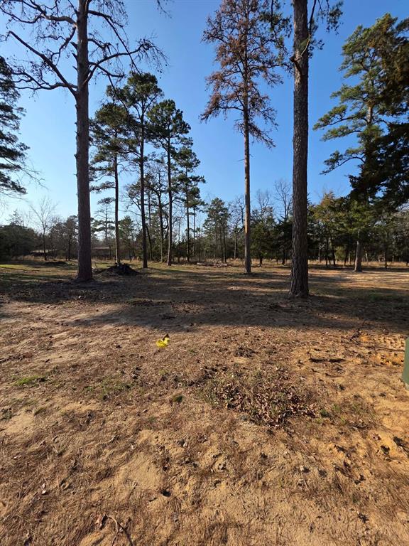 Kings Country - Land