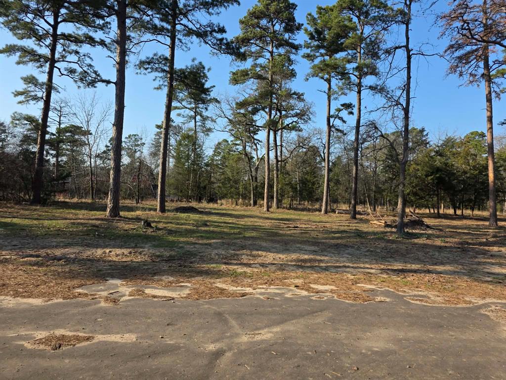 Kings Country - Land