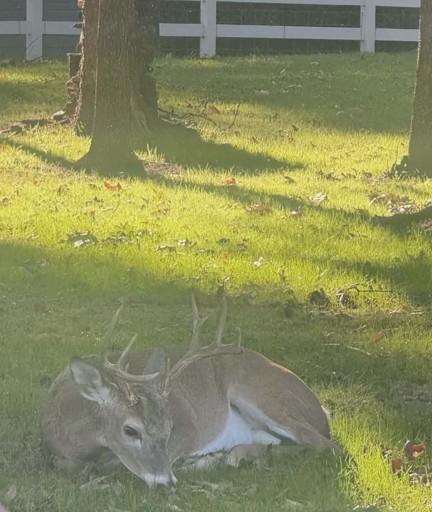 Kings Country - Land