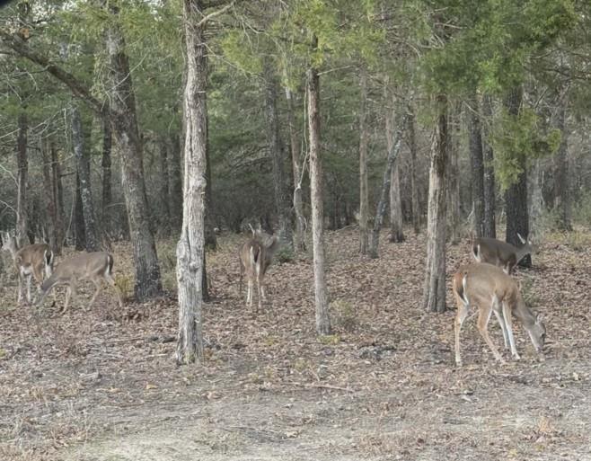 Kings Country - Land