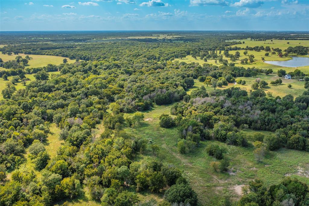 ABS A10819 J WHITE ABST TRACT 35 60.873 ACRES - Farm