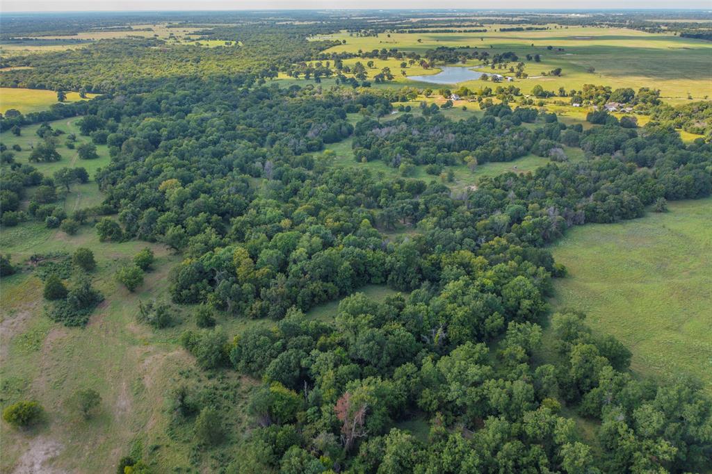 ABS A10819 J WHITE ABST TRACT 35 60.873 ACRES - Farm