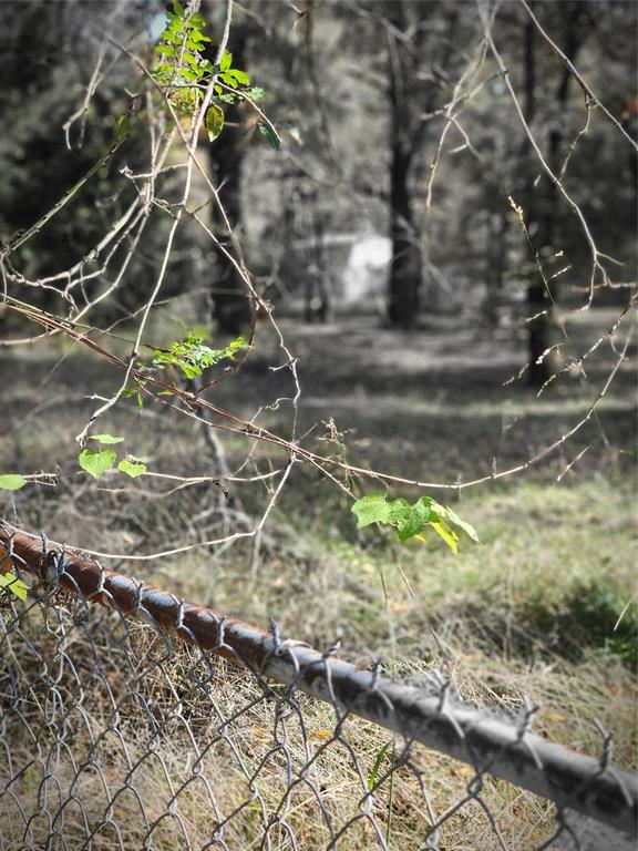 Eastwood Island - Land