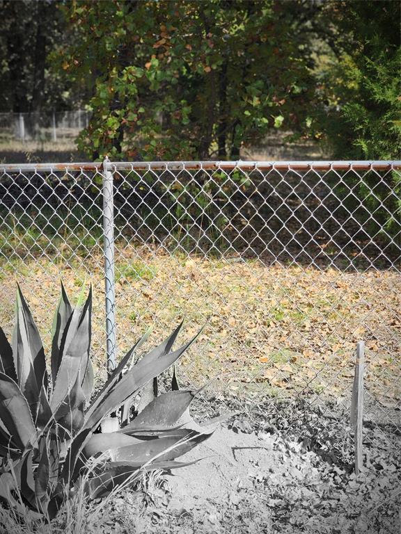 Eastwood Island - Land