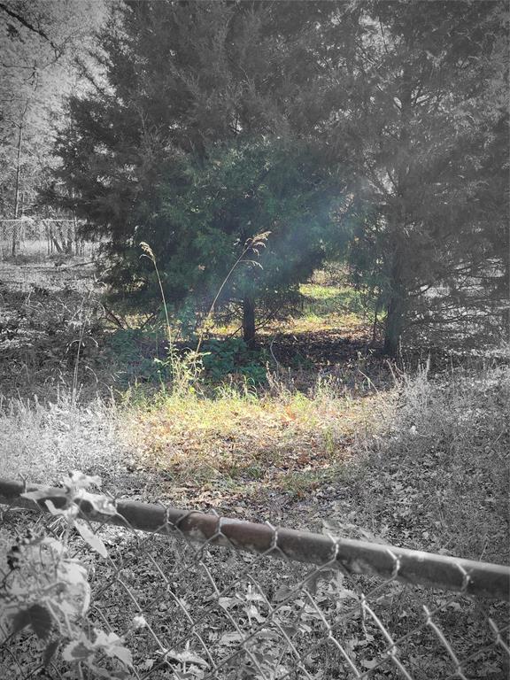 Eastwood Island - Land