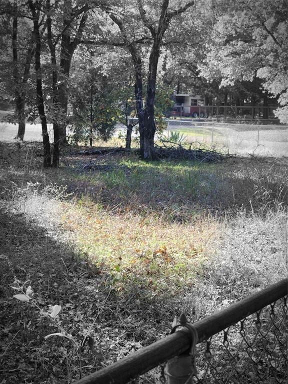 Eastwood Island - Land