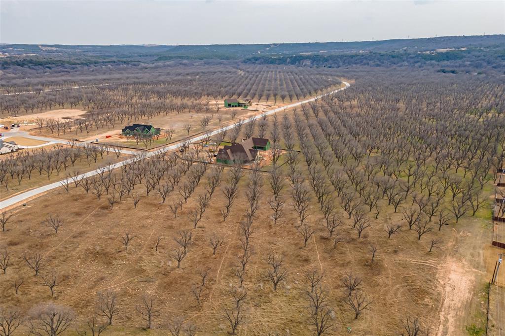 Pecan Plantation - Land