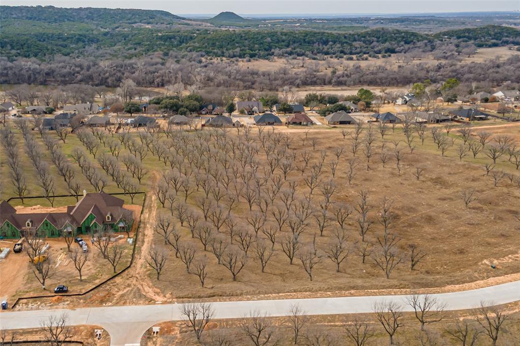 Pecan Plantation - Land