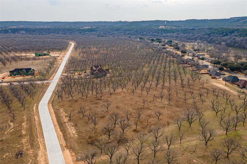 Pecan Plantation - Land