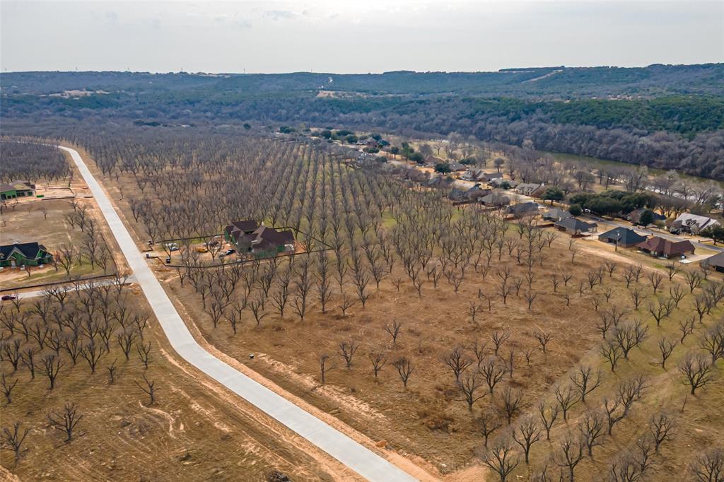 Pecan Plantation - Land