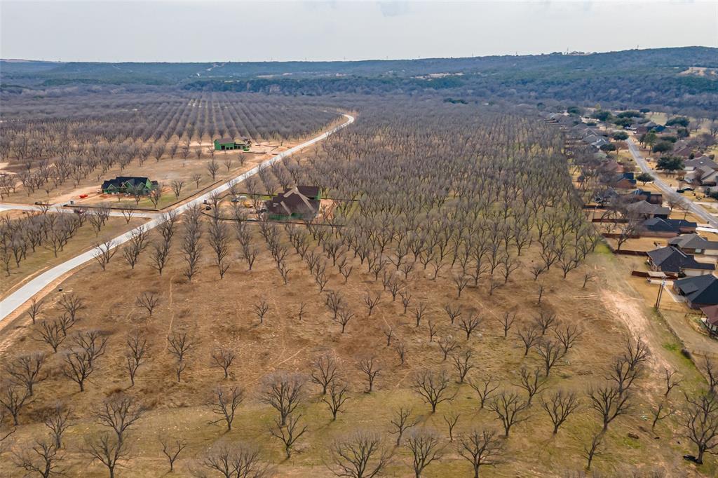 Pecan Plantation - Land