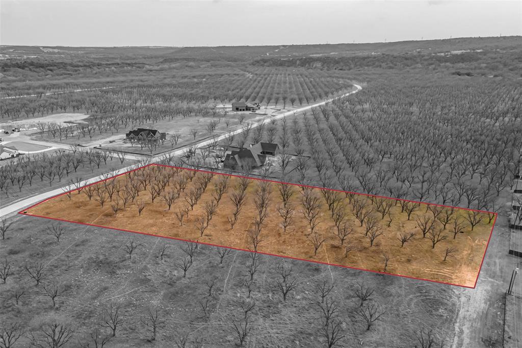 Pecan Plantation - Land