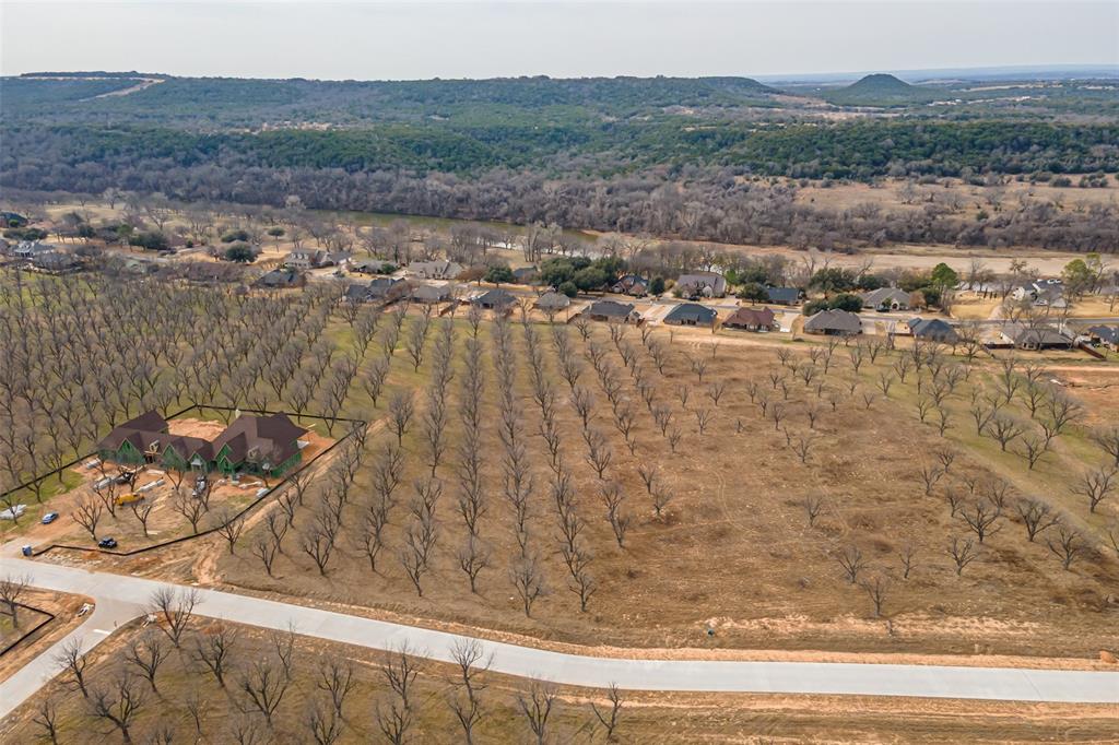 Pecan Plantation - Land