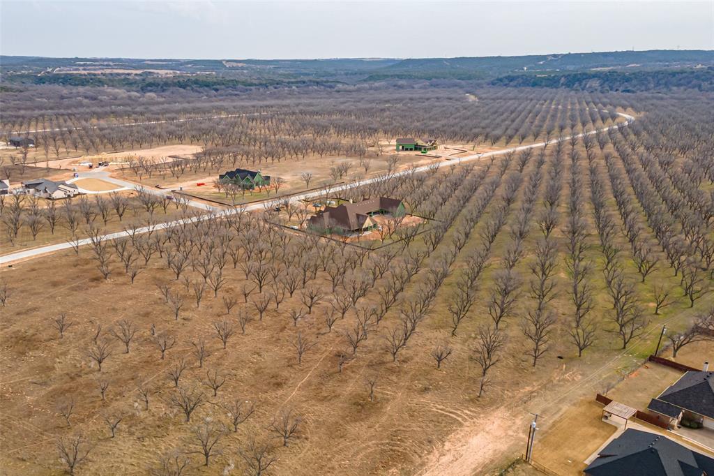 Pecan Plantation - Land