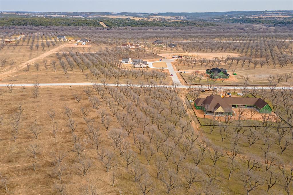 Pecan Plantation - Land