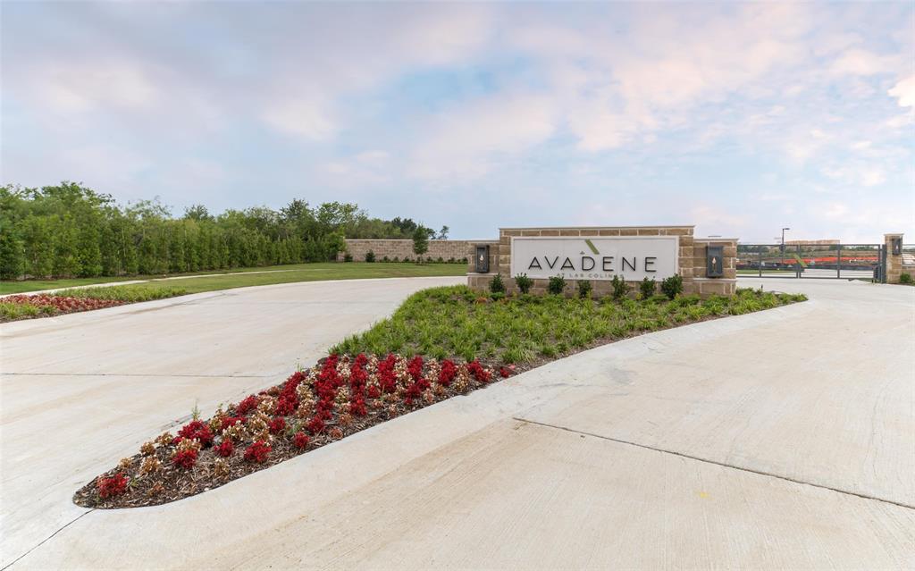 Avadene at Las Colinas - Residential