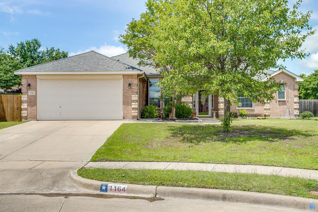 1164 Snowbird Court