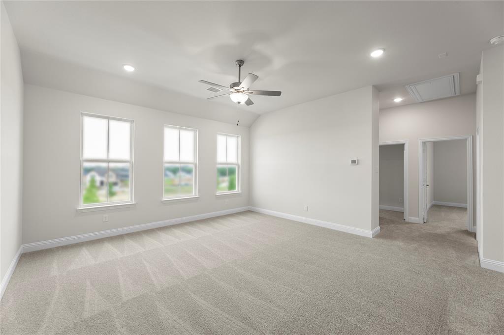 Painted Tree Showcase - Residential