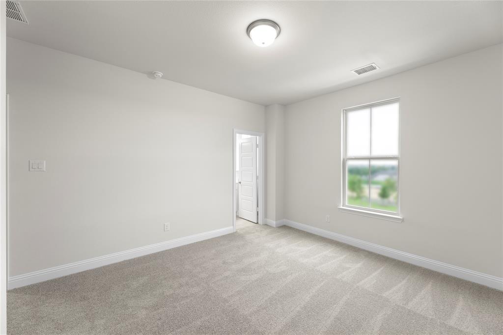 Painted Tree Showcase - Residential