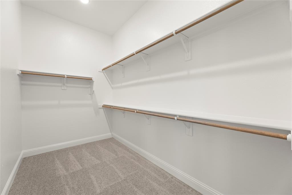 Painted Tree Showcase - Residential