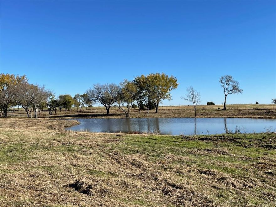 Endless options with this 115 plus acre parcel just minutes to Lake Texoma, Rock Creek Resort and Golf Club, Sherman's expansive economy, and several Casinos.  Located just North of Whitesboro, this property has major road frontage on two sides.  Coop Water and Electric is to the property and also runs along both frontages for possible future development.  A mixture of pasture land and trees with some rolling hills offers picturesque views of the sunrise and sunsets.  This property is currently Ag exempt and ready for your imagination.
