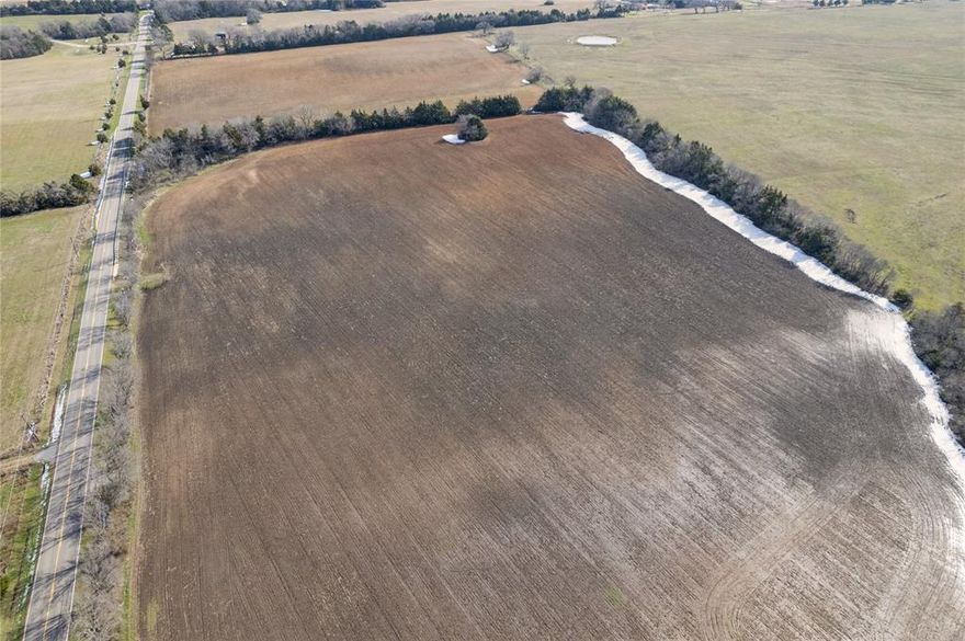 Fabulous property located 1.8 miles off FM 1753 in Bonham! This remarkable offering boasts over 12 acres of pristine, exempt land, providing a unique opportunity to build your dream home, start an agricultural project, or simply enjoy the peace and privacy of the countryside. The property features a blend of open spaces and scattered trees, ideal for creating the perfect balance of functionality and natural beauty. With easy access to FM 1753, this location offers convenience while maintaining a tranquil, rural atmosphere. Whether you’re looking to invest or build your vision from the ground up, this parcel delivers endless potential. Don’t miss out on this prime piece of land in Bonham!