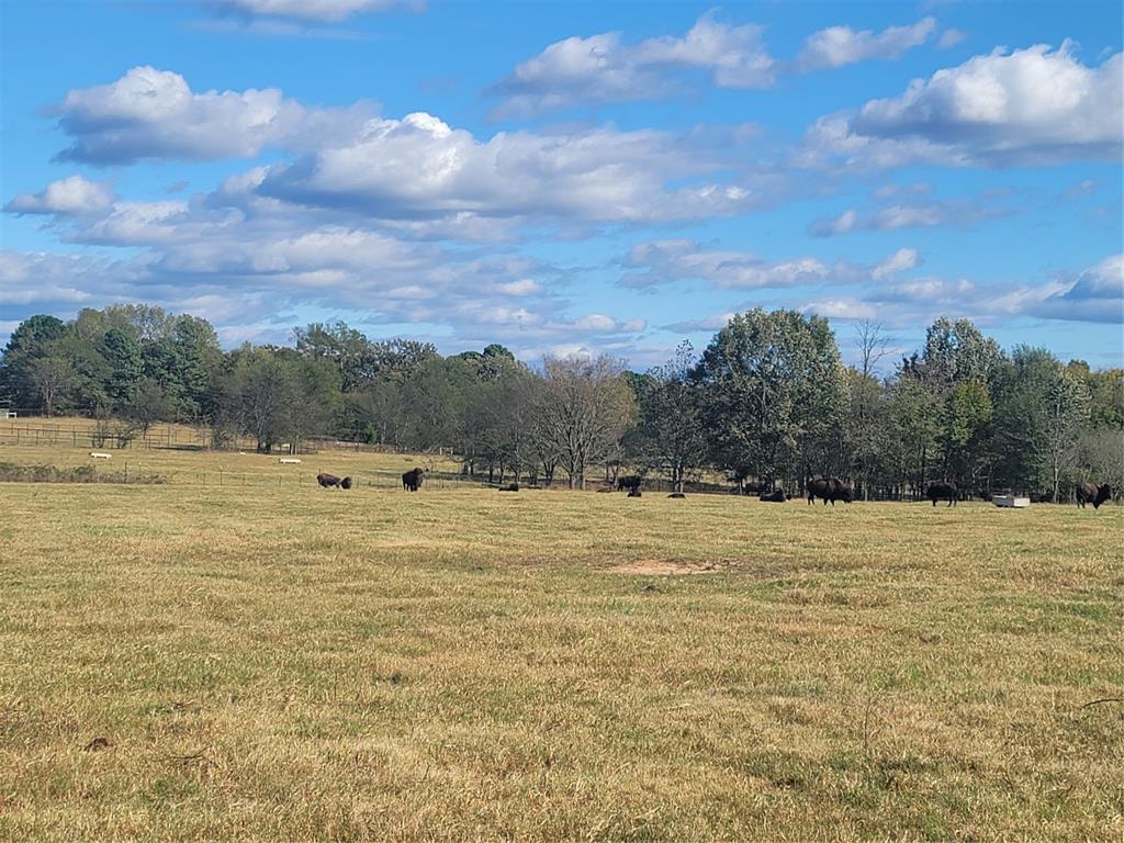 HARRISON COUNTY SC HOOL LAND,TRACT 1 - Farm