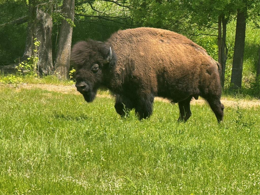 HARRISON COUNTY SC HOOL LAND,TRACT 1 - Farm