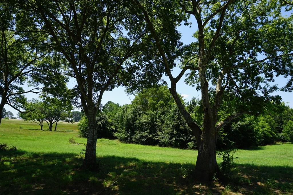 Waters Edge Ranch 82 Ph 01 - Land