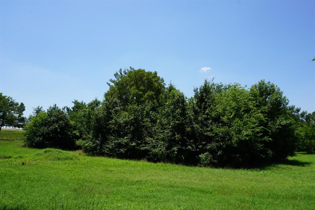 Waters Edge Ranch 82 Ph 01 - Land