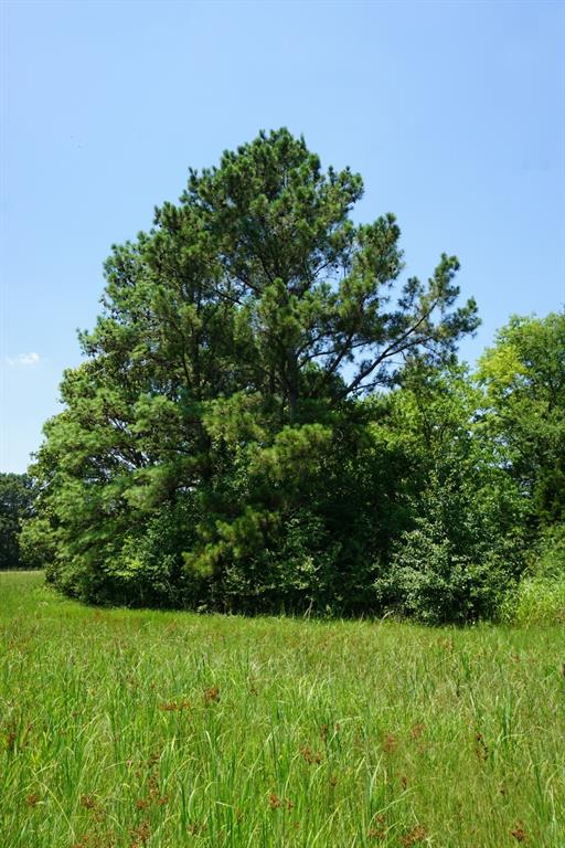 Waters Edge Ranch 82 Ph 01 - Land