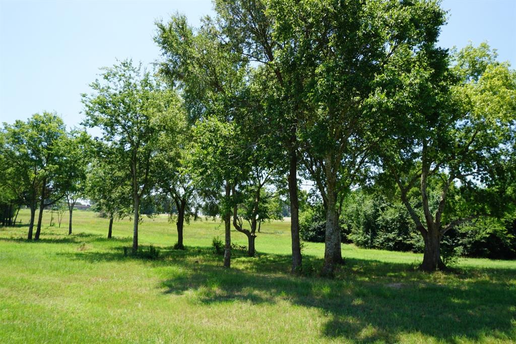 82 Saddle Ridge Court