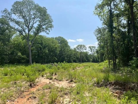 Photo of Lot 45 Antrim Ct, Poolville, TX 76487 (MLS # 21225843)