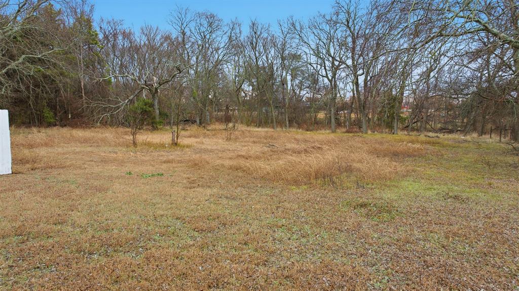 William Sanders Survey - Land