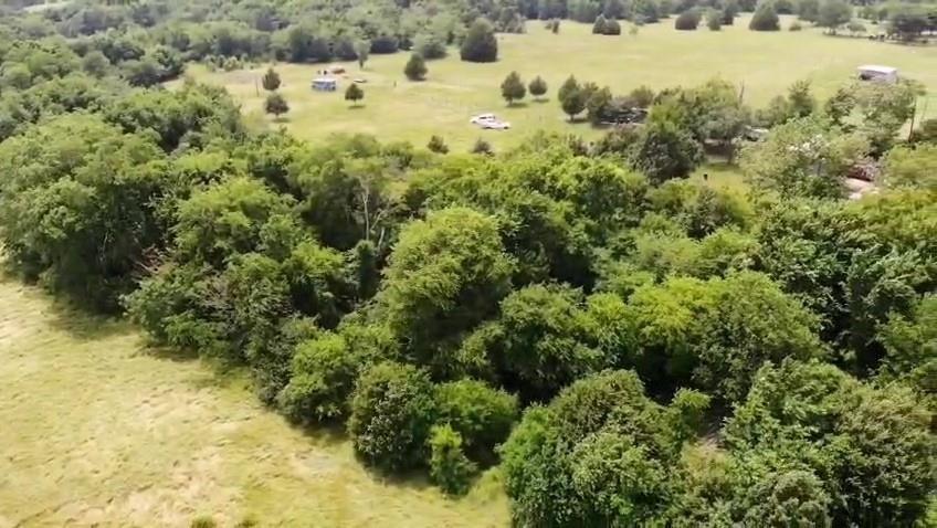 Rc Morris Surv Abst #506 - Residential