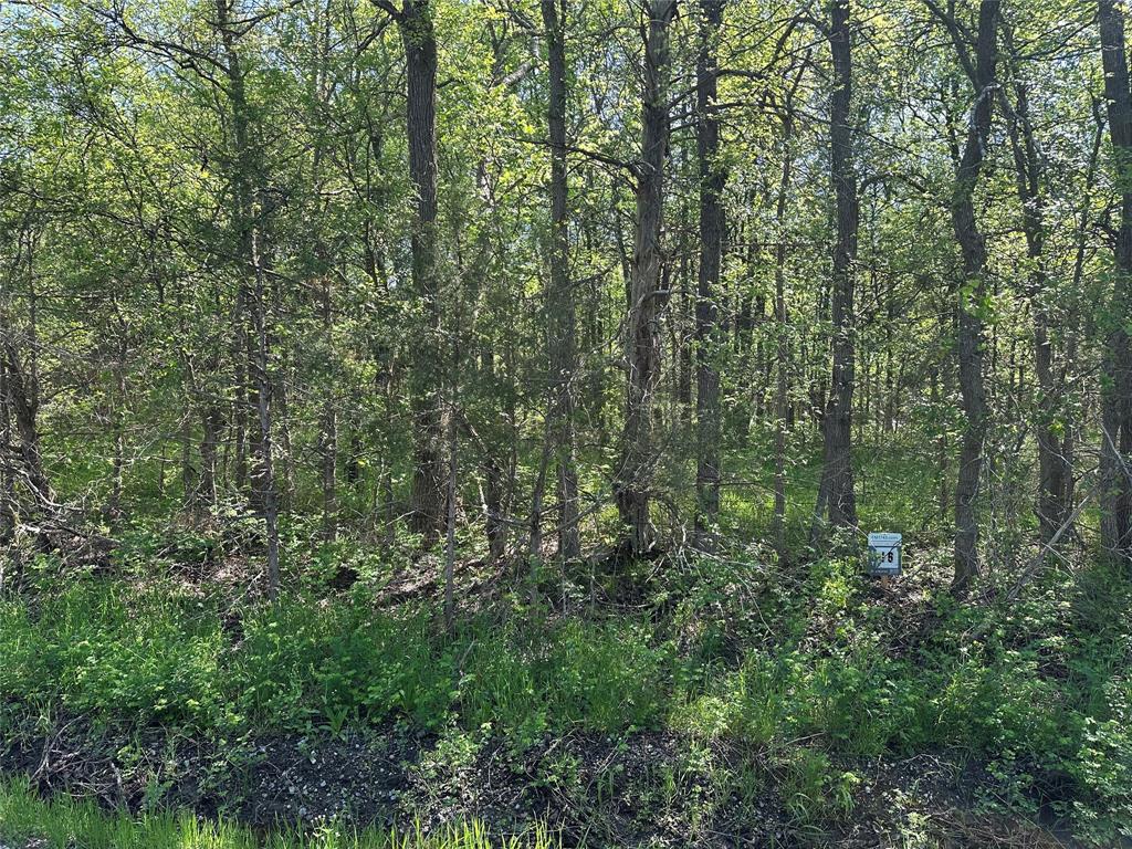 Tract 16 County Road 2960