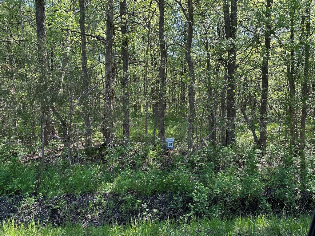 Tract 16 County Road 2960