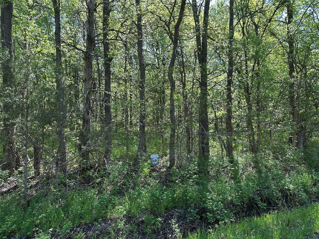 Tract 16 County Road 2960