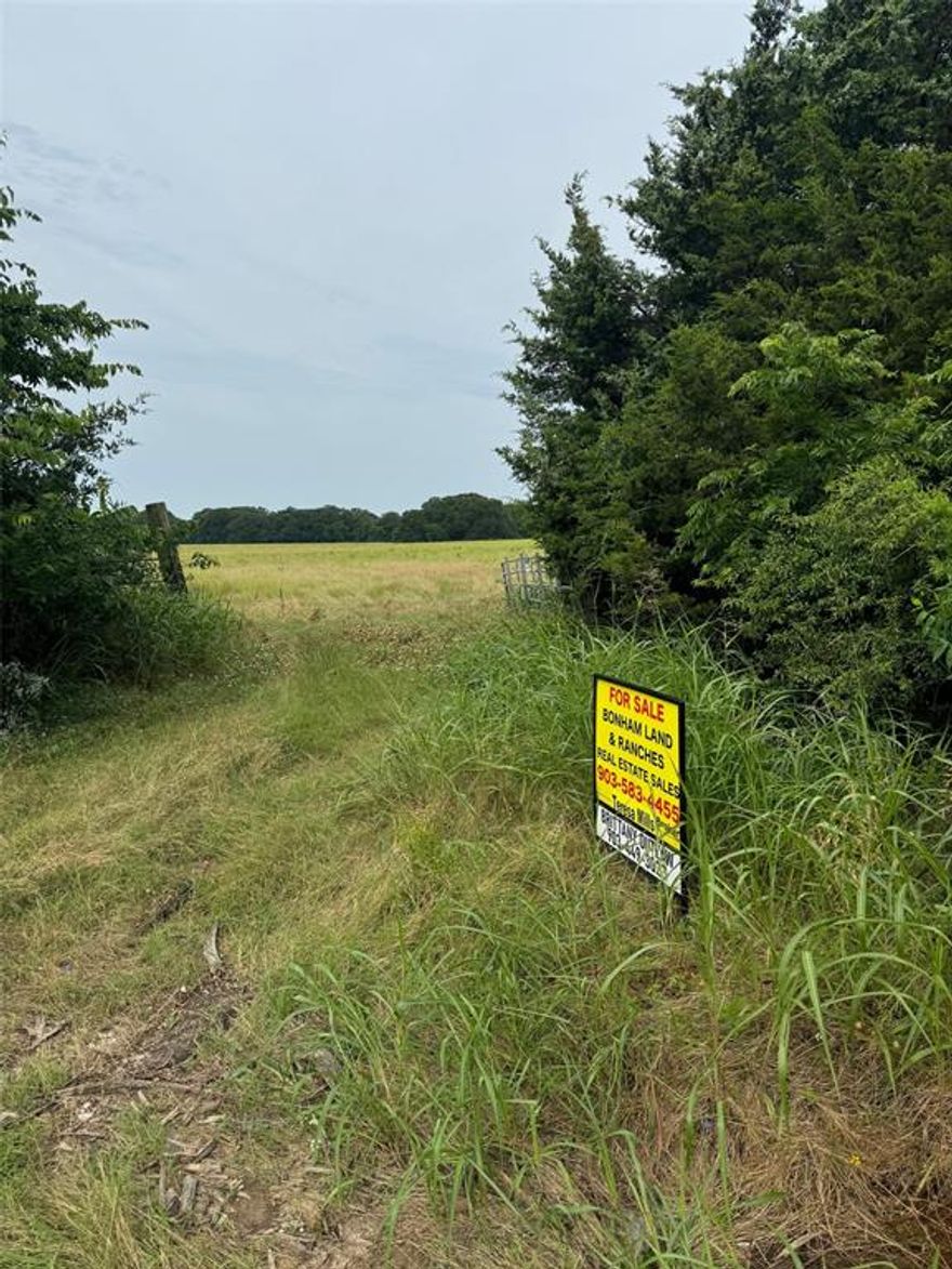 For your offer out of a larger parcel is Lot B with the amount of acreage being 14.476. Lot A is also listed with same amount of acreage on a separate listing. Located off of a black top paved road you will find a excellent future home build site. Electric located already along the county road for easy access. Very close proximity to Bonham Lake and Bois D'Arc Lake and a short drive to Coffee Mill Lake and Lake Crockett. Approximately 1 hour to the DFW area from this location. Currently age exempt and used for hay. Lots of deer and wildlife use this pasture for grazing. Very small water hole on lot B. No mobile homes or storage building facilities allowed. Well water will be required here. All information is deemed reliable but should be verified by buyer and buyers agent.
