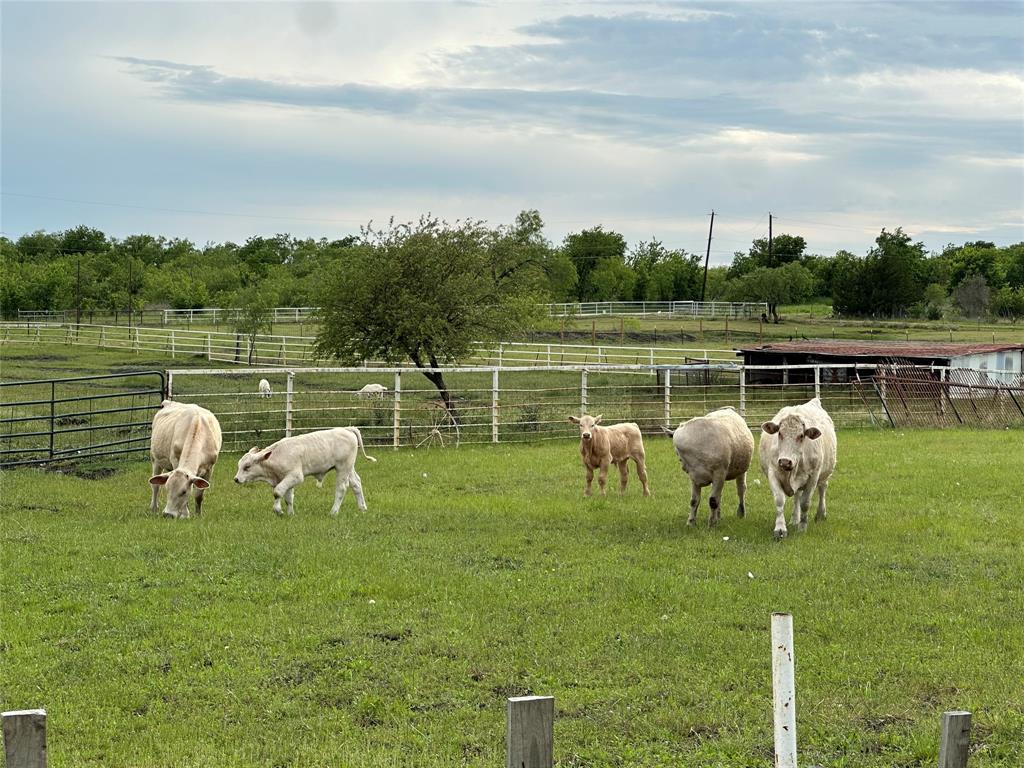 Dearen Estates Ph 3 - Farm