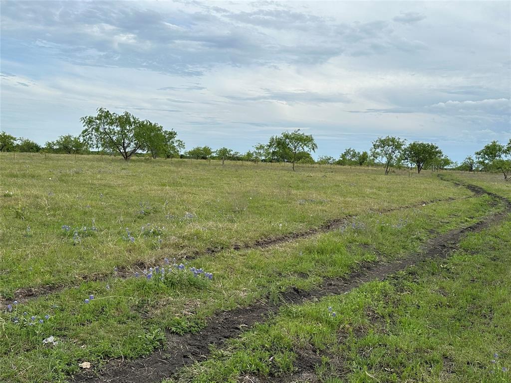 Dearen Estates Ph 3 - Farm