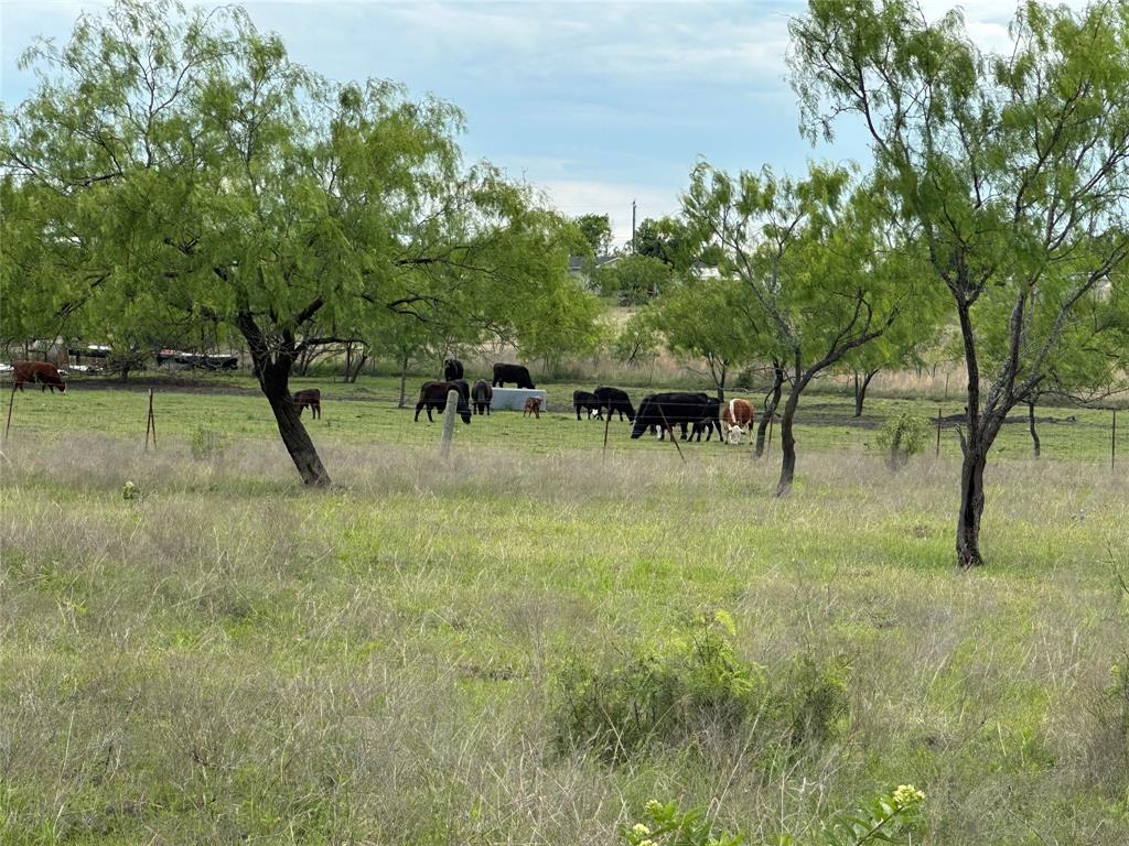 Dearen Estates Ph 3 - Farm