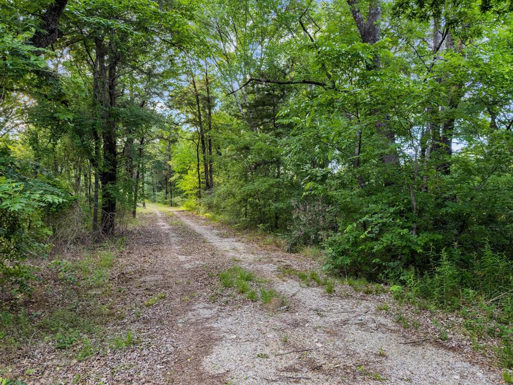 TBD-2 Singletree Road