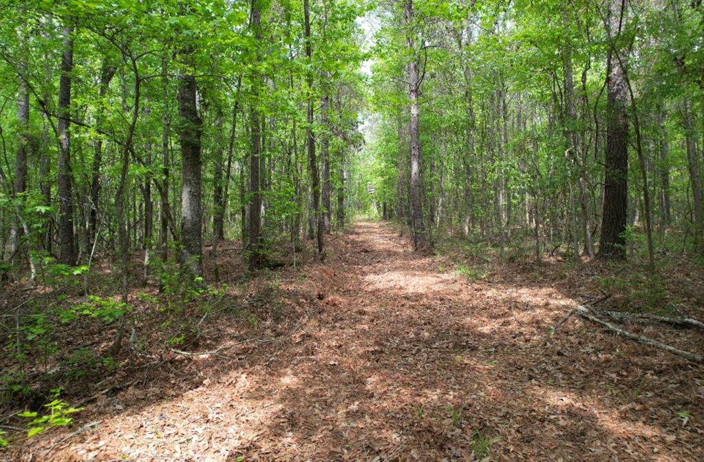 TBD County Road 120C