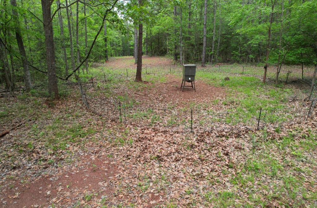 TBD County Road 120C